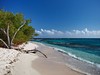 Ostrov Lime Cay